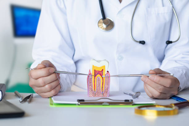 Best Emergency Root Canal Treatment in Hemlock Farms, PA